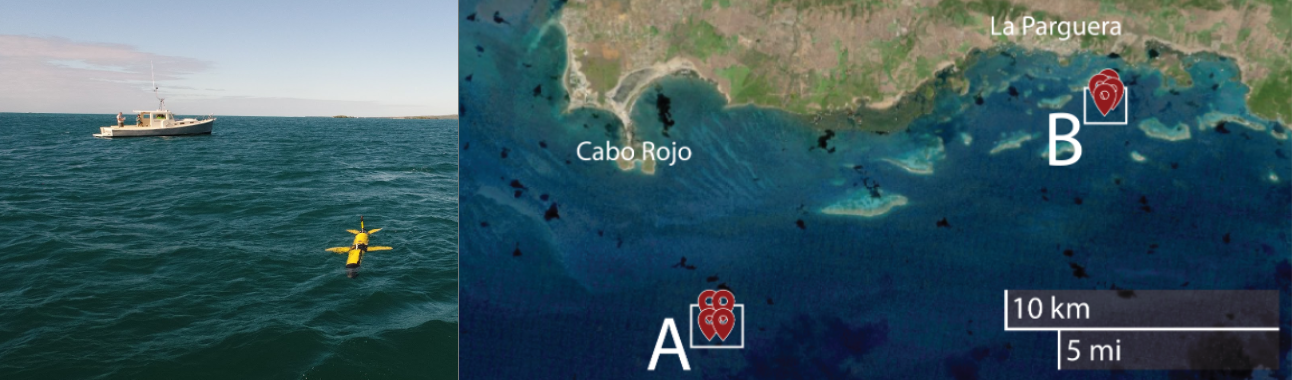 puerto rico dataset overview